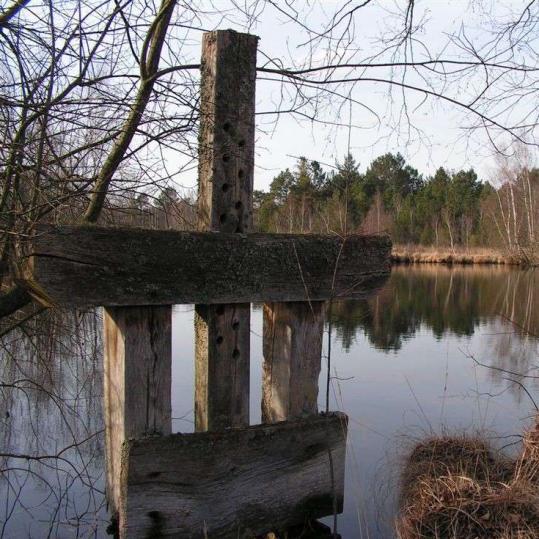 Etang Sologne