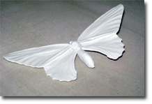 PROTOTYPAGE RAPIDE